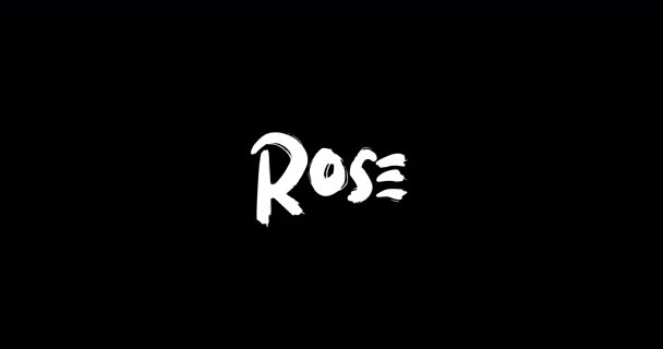 Imię Nazwisko Rose Cyfrowym Grunge Transition Effect Bold Text Typography — Wideo stockowe
