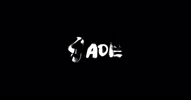 Nombre Femenino Sadie Grunge Digital Efecto Transición Tipografía Texto Negrita — Vídeo de stock