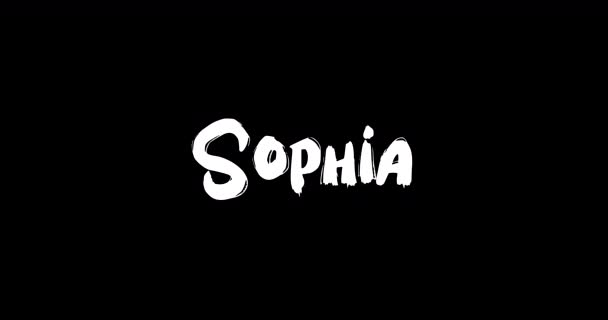 Imię Nazwisko Sophia Cyfrowym Grunge Transition Effect Bold Text Typography — Wideo stockowe