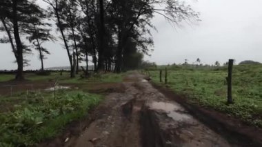 Muson Kıyı Bölgesi 'nde Çamur Yolu