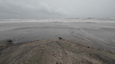 Okyanus Dalgaları Boş bir sahilde Kara Şimşek Fırtınalı Gökyüzü Yavaş Hareketli Deniz Burnu