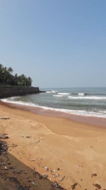 Sararmış kumsal manzarasının üstünde Dalgalar ve deniz kıyısı