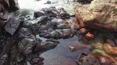 Plajda kristal berrak okyanus suyu Küçük kayalar ve küçük balıklar