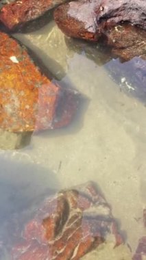 Plajda kristal berrak okyanus suyu Küçük kayalar ve küçük balıklar