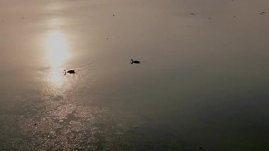 Gün batımı Gün Batımı Saati sırasında Sakin Su Gölü 'ne Yansıyan