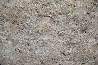 Koyu lekeli sert desenli çimento duvar yüzeyi Duvar sıva desenli çimento desenli arka plan resmi