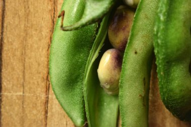 Taze Sümbül Fasulyesi Grubu ya da Ahşap Masadaki Aynı Ki Phalli Arka plan bulanıklığı ile Yakın plan