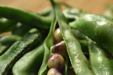 Sümbül Fasulyesi Grubu ya da aynı Ki Phalli Labaratuvarı Purpures, ayrıca Yiğit Papdi Fasulyeleri olarak da bilinir, Hint Sebze Görüntüsü