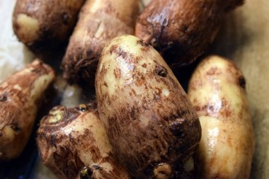 Ahşap masa üzerinde soyulmamış Taro Kökü Sebze Grubu