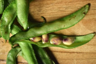 Sümbül Fasulyesi Grubu ya da aynı Ki Phalli Labaratuvarı Purpures, ayrıca Yiğit Papdi Fasulyeleri olarak da bilinir, Hint Sebze Görüntüsü