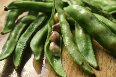 Sümbül Fasulyesi Grubu ya da aynı Ki Phalli Labaratuvarı Purpures, ayrıca Yiğit Papdi Fasulyeleri olarak da bilinir, Hint Sebze Görüntüsü