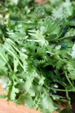 Taze Kişniş Yaprakları (Cilantro) Tahta Tablo Resminde