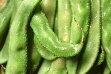 Sümbül Fasulyesi Grubu ya da aynı Ki Phalli Labaratuvarı Purpures, ayrıca Yiğit Papdi Fasulyeleri olarak da bilinir, Hint Sebze Görüntüsü