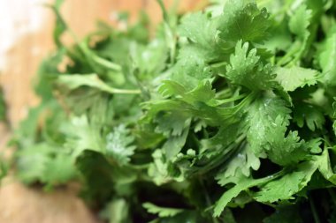 Taze kişniş yaprakları ahşap masa üzerinde Arkaplan bulanıklığı ile yakın plan