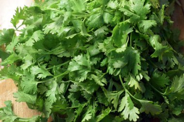 Taze kişniş yaprakları ahşap masa üzerinde Arkaplan bulanıklığı ile yakın plan