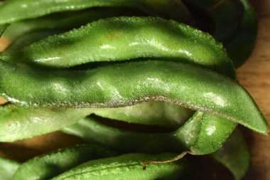 Taze Sümbül Fasulyesi Grubu ya da Ahşap Masadaki Aynı Ki Phalli Arka plan bulanıklığı ile Yakın plan