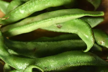 Sümbül Fasulyesi Grubu ya da aynı Ki Phalli Labaratuvarı Purpures, ayrıca Yiğit Papdi Fasulyeleri olarak da bilinir, Hint Sebze Görüntüsü