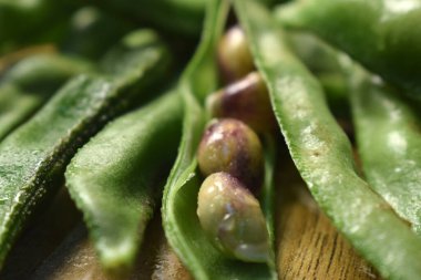 Taze Sümbül Fasulyesi Grubu ya da Ahşap Masadaki Aynı Ki Phalli Arka plan bulanıklığı ile Yakın plan