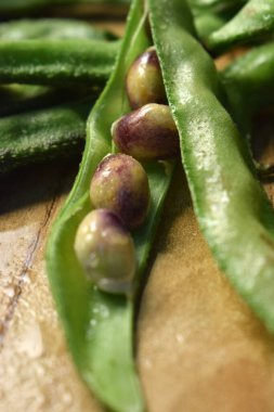 Sümbül Fasulyesi Grubu ya da aynı Ki Phalli Labaratuvarı Purpures, ayrıca Yiğit Papdi Fasulyeleri olarak da bilinir, Hint Sebze Görüntüsü