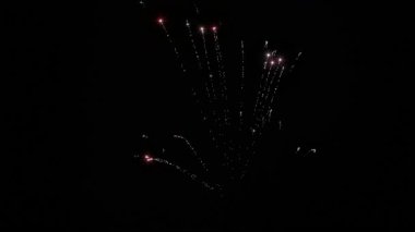 Havai fişek videosu. Gece gökyüzünde renkli havai fişeklerin canlı bir gösterisi, şenlikli bir kutlama sırasında. 3d oluşturma.