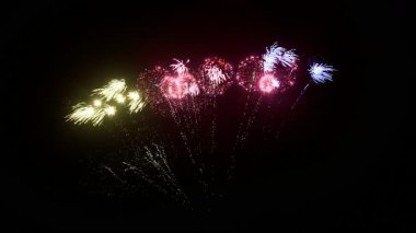 3D görüntüleme. Gece gökyüzünde renkli havai fişekler, bayram, festival ve kutlama temaları için mükemmel..
