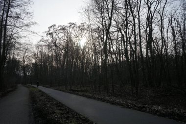 Şubat 'ta gün batımında Berlinliler' in orman dinlenme alanında yürüyüş yolu. 12559 Berlin, Almanya 