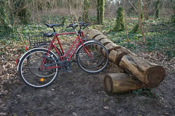 Dos Bicicletas Están Aparcadas Junto Tronco Área Recreativa Boscosa Berliner — Foto de Stock