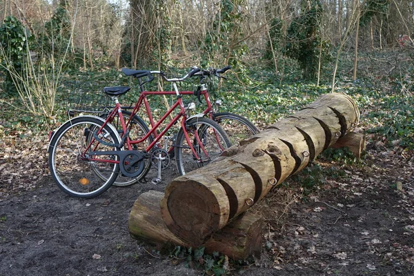 Dos Bicicletas Están Aparcadas Junto Tronco Área Recreativa Boscosa Berliner — Foto de Stock
