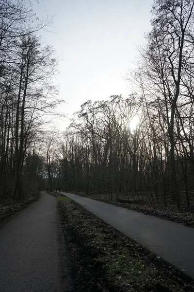 stock image Walking trail in the Berliners' forest recreation area at sunset in February. 12559 Berlin, Germany 