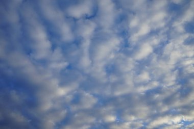 Şubat 'ta güzel bulutlu bir gökyüzü. Berlin, Almanya 
