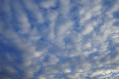 Şubat 'ta güzel bulutlu bir gökyüzü. Berlin, Almanya 