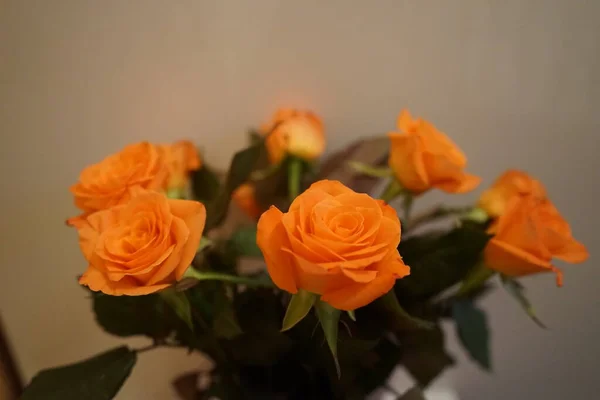 stock image Bouquet of orange roses. Berlin, Germany