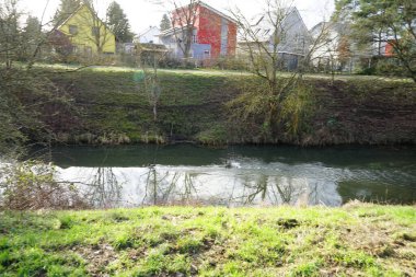 Mallard Ducks kışları Wuhle nehri bölgesinde geçirir. Yaban ördeği (