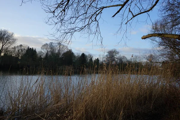 冬には湖Whuhleseeと豪華な風景 ドイツ ベルリンのマルザーン ヘルサードルフ — ストック写真