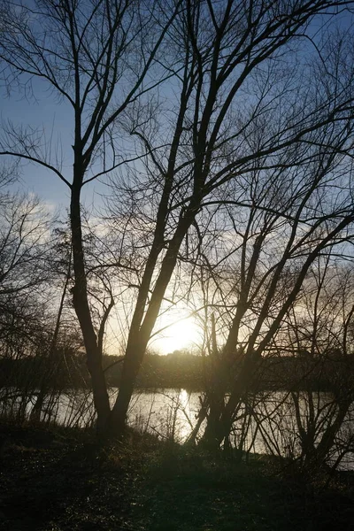 Piękny Zachód Słońca Nad Jeziorem Wuhlesee Lutym Marzahn Hellersdorf Berlin — Zdjęcie stockowe