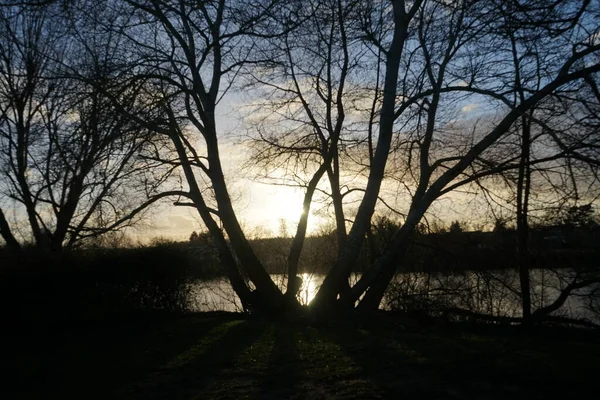 Şubat Ayında Wuhlesee Gölü Üzerinde Güzel Bir Günbatımı Marzahn Hellersdorf — Stok fotoğraf
