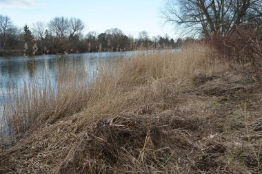 Wuhlesee Gölü 'nün kışın muhteşem manzarası. Marzahn-Hellersdorf, Berlin, Almanya