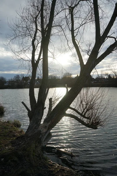 美丽的落日笼罩着乌什莱湖 德国柏林Marzahn Hellersdorf — 图库照片