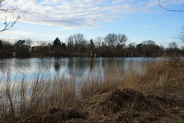 Superbe Paysage Avec Lac Wuhlesee Hiver Marzahn Hellersdorf Berlin Allemagne — Photo
