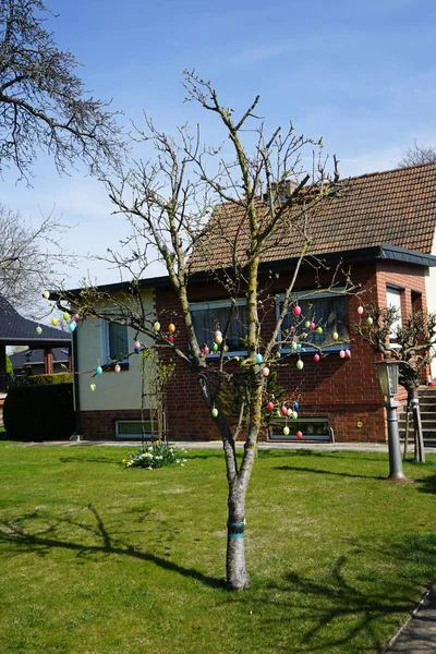 stock image The tree is decorated with Easter eggs in spring. Berlin, Germany 