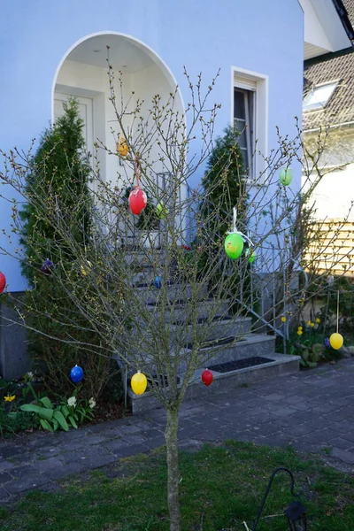 这棵树在春天装饰着复活节彩蛋 德国柏林 — 图库照片