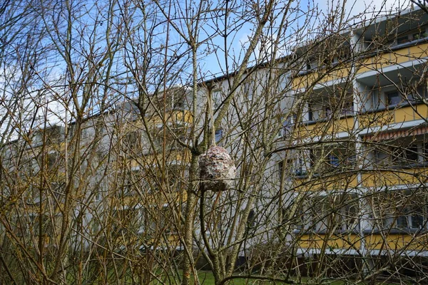 Vogelvoer Een Net Hangt Het Vroege Voorjaar Aan Planten Tuin — Stockfoto
