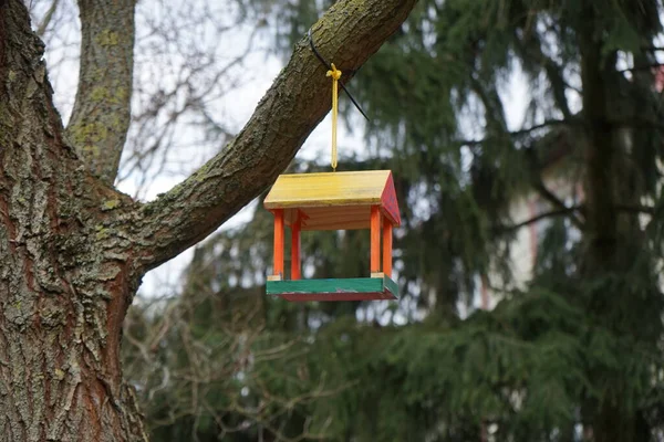春天的时候喂鸟 德国柏林 — 图库照片