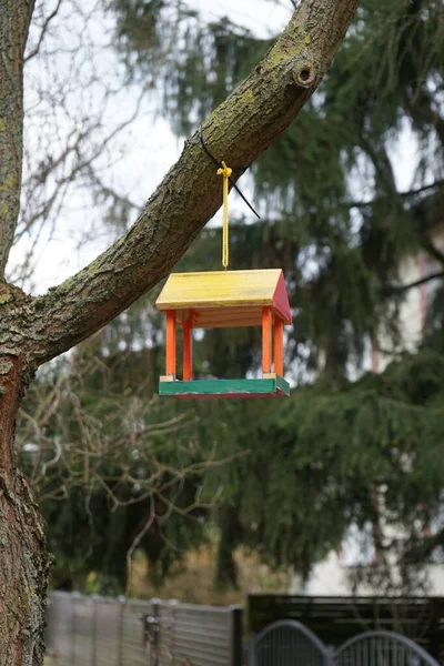 Alimentatore Uccelli Primavera Berlino Germania — Foto Stock