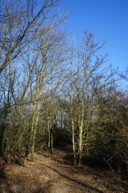 Berlinliler 'in dinlenme alanındaki güzel Mart manzarası. Marzahn-Hellersdorf, Berlin, Almanya