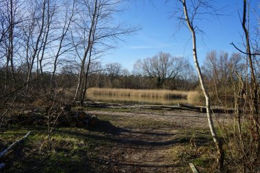 Mart ayında Habermannsee Gölü manzarası. Kaulsdorfer Baggersee, Marzahn-Hellersdorf, Berlin, Almanya 