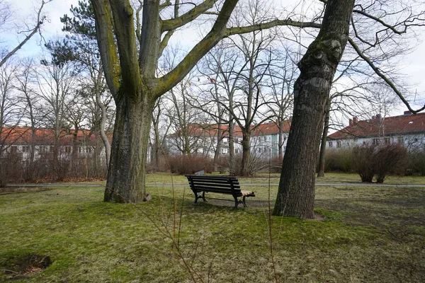 Bench Tuin Tussen Appartementengebouwen Voor Huurders Recreatiegebied Berlijn Duitsland — Stockfoto