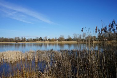 Mart ayında Habermannsee Gölü manzarası muhteşem bir bitki örtüsüyle birlikte. Kaulsdorfer Baggersee, Berlin, Almanya