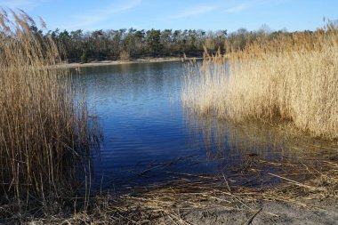Mart ayında Habermannsee Gölü manzarası muhteşem bir bitki örtüsüyle birlikte. Kaulsdorfer Baggersee, Berlin, Almanya