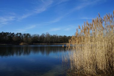 Mart ayında Habermannsee Gölü manzarası muhteşem bir bitki örtüsüyle birlikte. Kaulsdorfer Baggersee, Berlin, Almanya